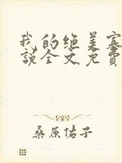 我的绝美寡嫂小说全文免费阅读