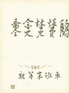 乔念林烨的小说全文免费阅读无弹窗