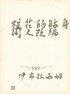 校花的贴身高手同人改编