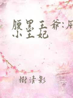 腹黑王爷:厨神小王妃
