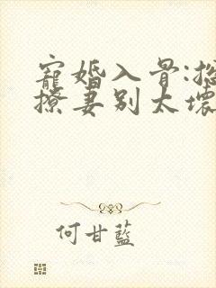 宠婚入骨:总裁撩妻别太坏免费在线阅读
