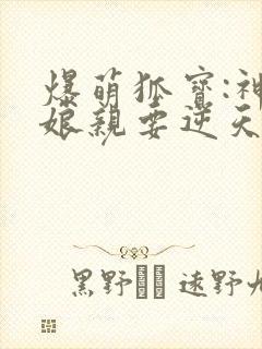 爆萌狐宝:神医娘亲要逆天 小说