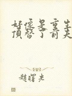 好像是重生后我顶替了前夫白月光