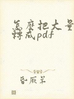 怎么把大量照片转成pdf