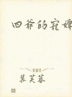 四爷的宠婢