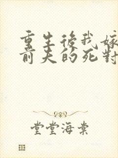 重生后我嫁给了前夫的死对头