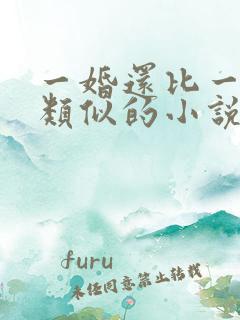一婚还比一婚高类似的小说推荐