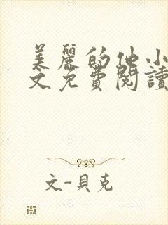 美丽的他小说全文免费阅读