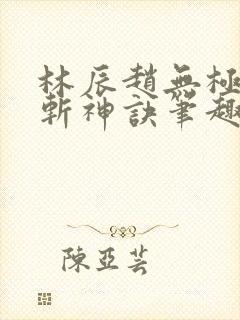 林辰赵无极九天斩神诀笔趣阁