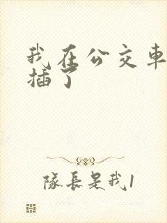我在公交车上被插了