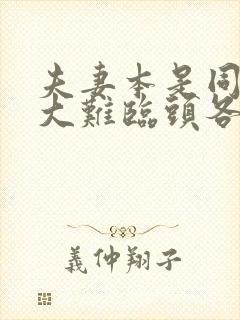 夫妻本是同林鸟大难临头各自飞什么意思