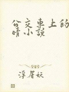 公交车上的诗请晴小说