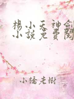 杨小天神剑无敌小说免费阅读全文