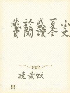 藏于盛夏小说免费阅读全文无弹窗