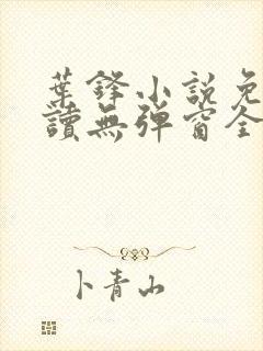 叶锋小说免费阅读无弹窗全文