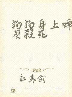 狗狗身上蜱虫怎么杀死