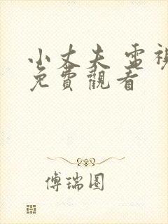 小丈夫 电视剧免费观看