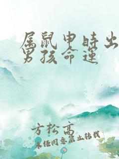 属鼠申时出生的男孩命运