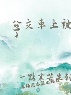 公交车上被插入了