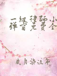 一级律师小说无弹窗免费全文
