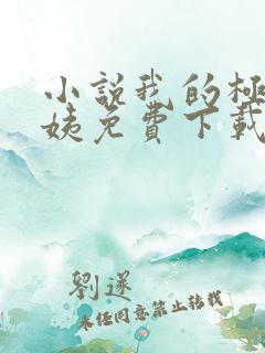小说我的极品小姨免费下载