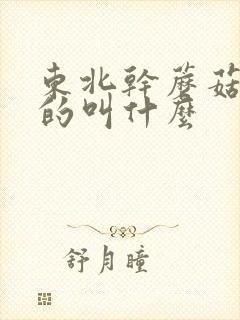 东北干蘑菇黑色的叫什么