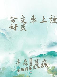 公交车上被插的好爽