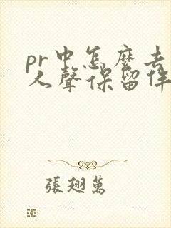 pr中怎么去掉人声保留伴奏
