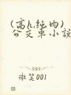 (高h,纯肉)公交车小说