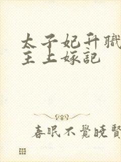 太子妃升职记公主上嫁记