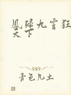 凤归九霄狂妃逆天下