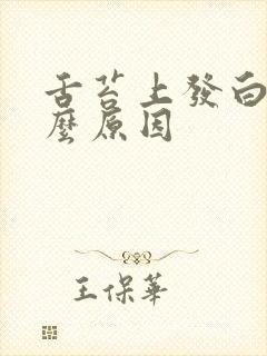 舌苔上发白是什么原因