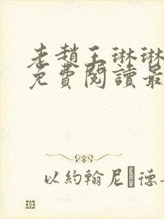 老赵王琳琳全文免费阅读最新章节
