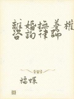 离婚抚养权问题咨询律师