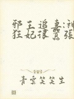 邪王追妻:神医狂妃很嚣张