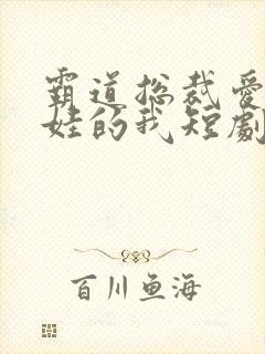 霸道总裁爱上带娃的我短剧