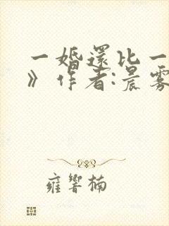 一婚还比一婚高》作者:晨雾的光