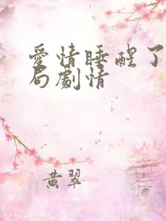 爱情睡醒了大结局剧情