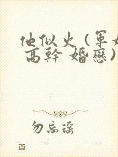 他似火 (军婚 高干 婚恋)小说免费阅读