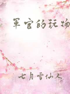 军官的玩物