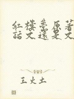 红楼梦原著是白话文还是文言文