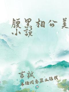 腹黑相公美如花小说
