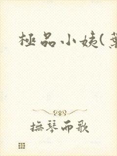 极品小姨(叶凡