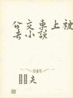 公交车上被插进去小说