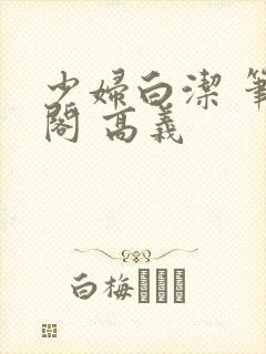少妇白洁 笔趣阁 高义