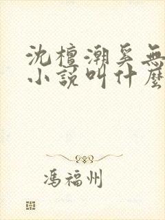 沈檀潮奚无霁的小说叫什么名字