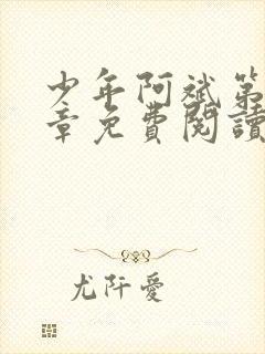 少年阿斌第13章免费阅读