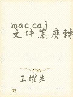 mac caj文件怎么转换成pdf