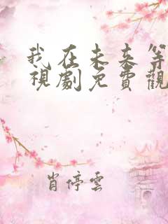 我在未来等你电视剧免费观看