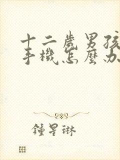 十二岁男孩沉迷手机怎么办